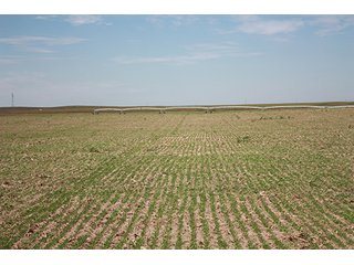 Property photo 51 - LAND AUCTION, 3255+/- Acres offered in 13 Tracts